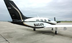 Piper10