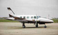 Piper11