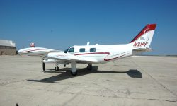 Piper12