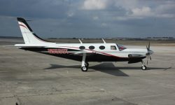 Piper6