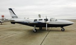Piper8
